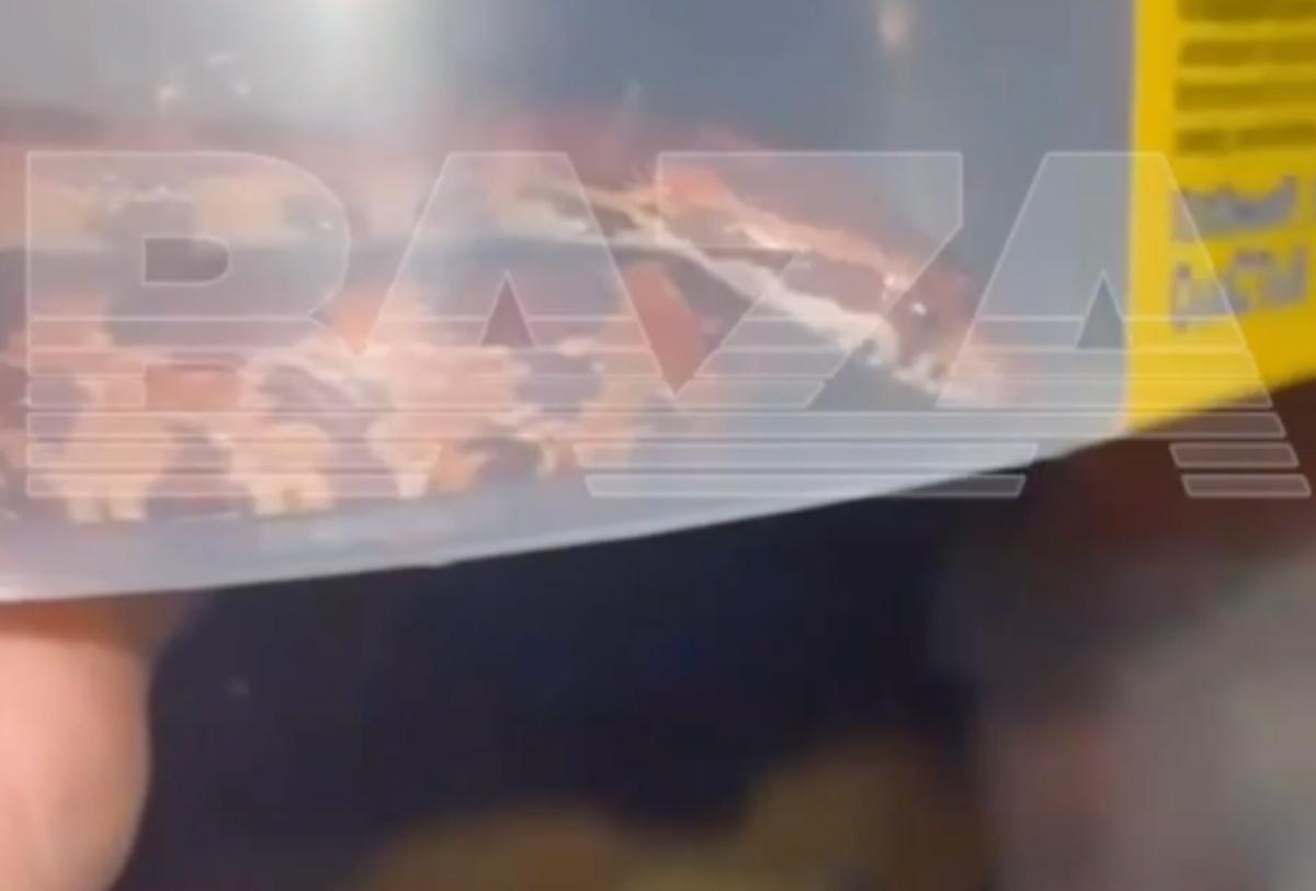 Москвич обнаружил в машине каршеринга змею