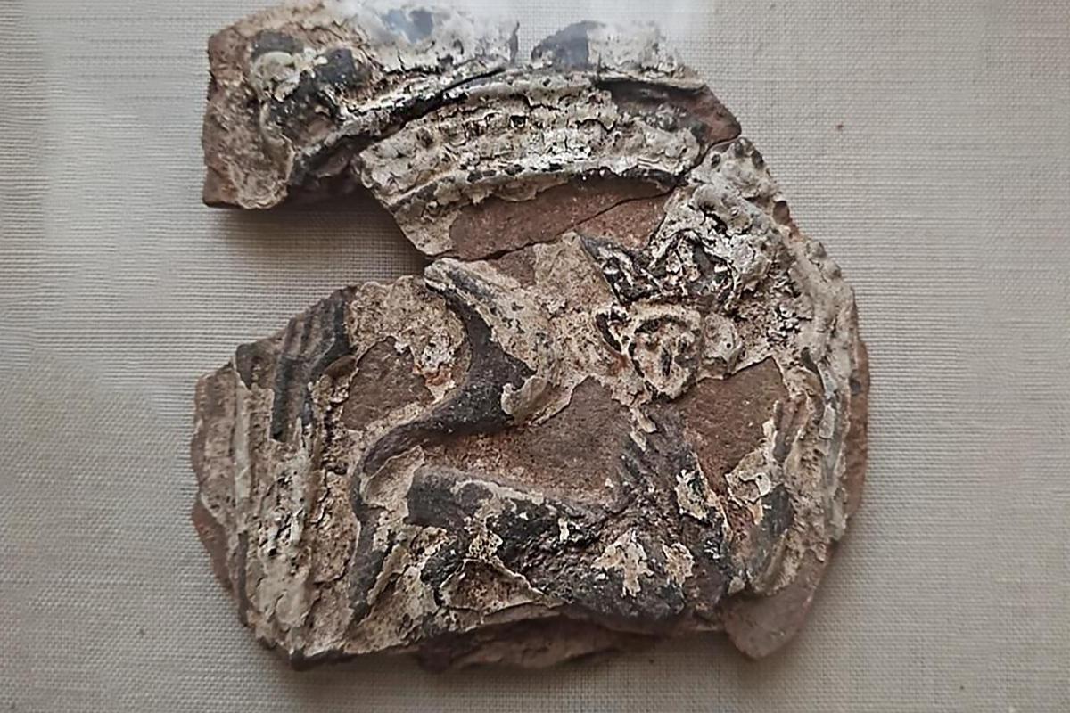 Археологи в Москве нашли 400-летние изразцы с кошками в коронах