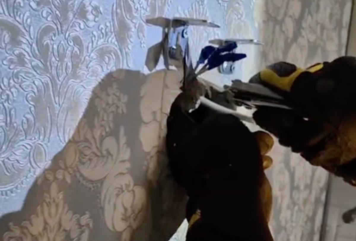 В Москве спасли просидевшего в стене все новогодние праздники кота