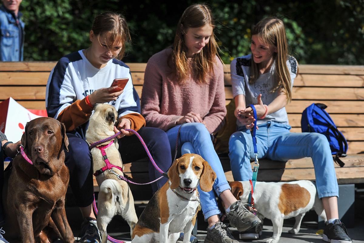 В Москве пройдет фестиваль для любителей домашних животных