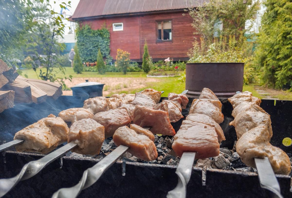 Москвичам подсказали способ сэкономить на приготовлении шашлыка