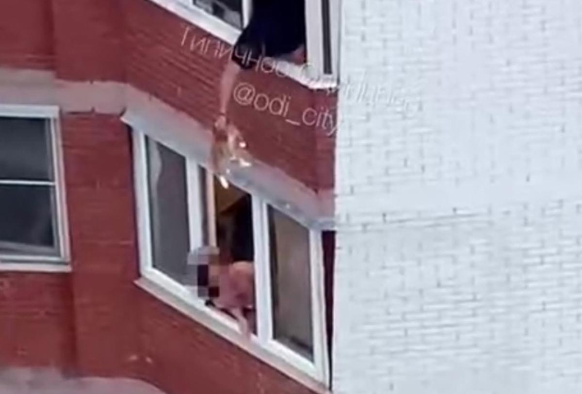 Житель Подмосковья вытащил кота за балкон и ударил его о стену