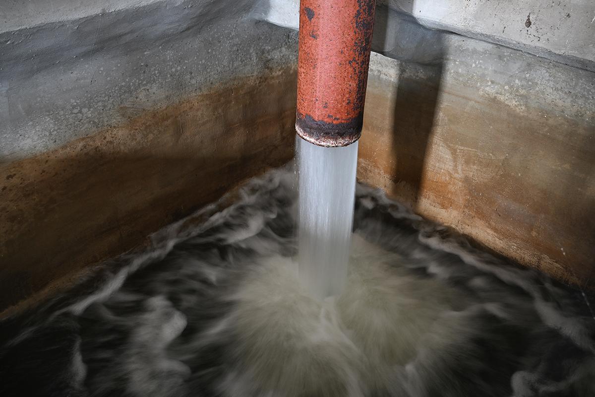 Подвал подмосковного дома затопило нечистотами