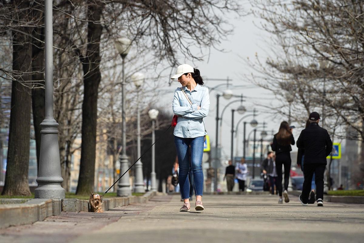 Москвичам рассказали о погоде в мае и июне