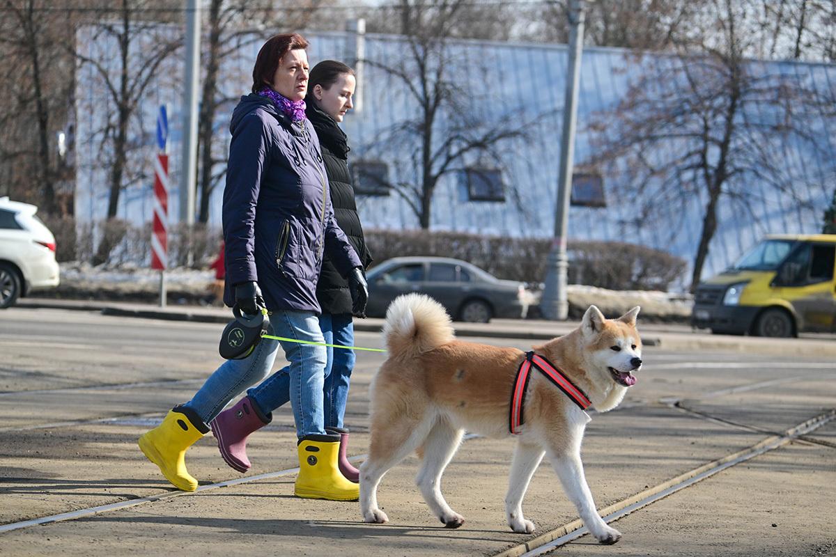 Синоптик раскрыл дату возвращения тепла в Москву