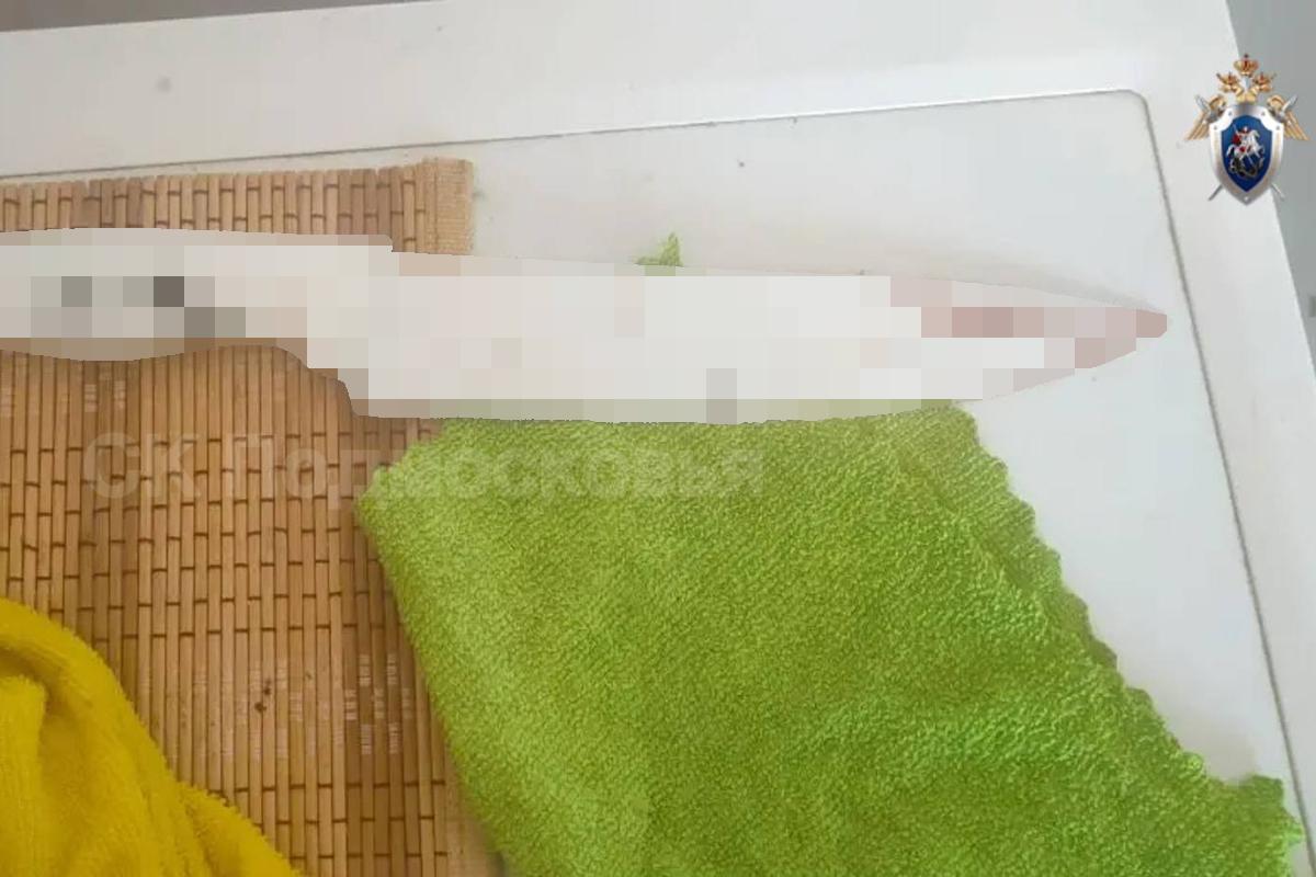 Жительница Подмосковья задержана за убийство мужа кухонным ножом