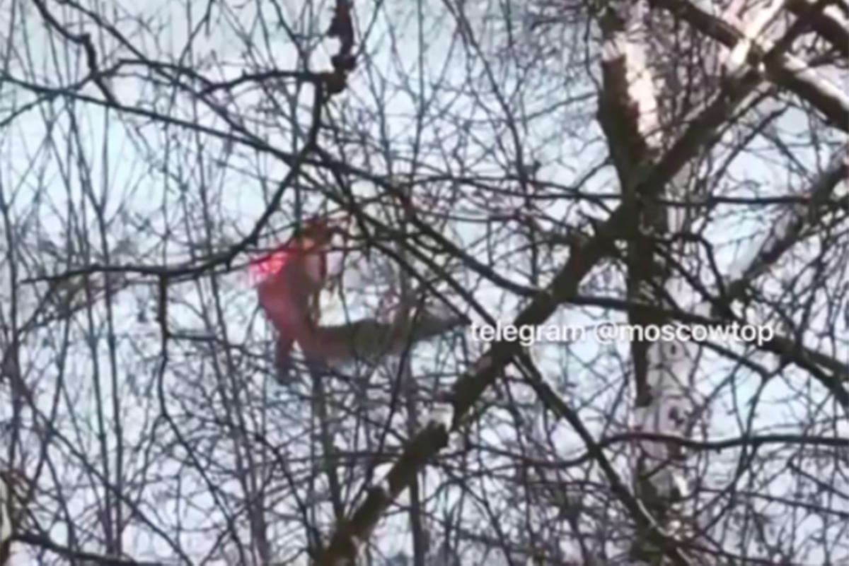 Видео Новый Год Мужчина