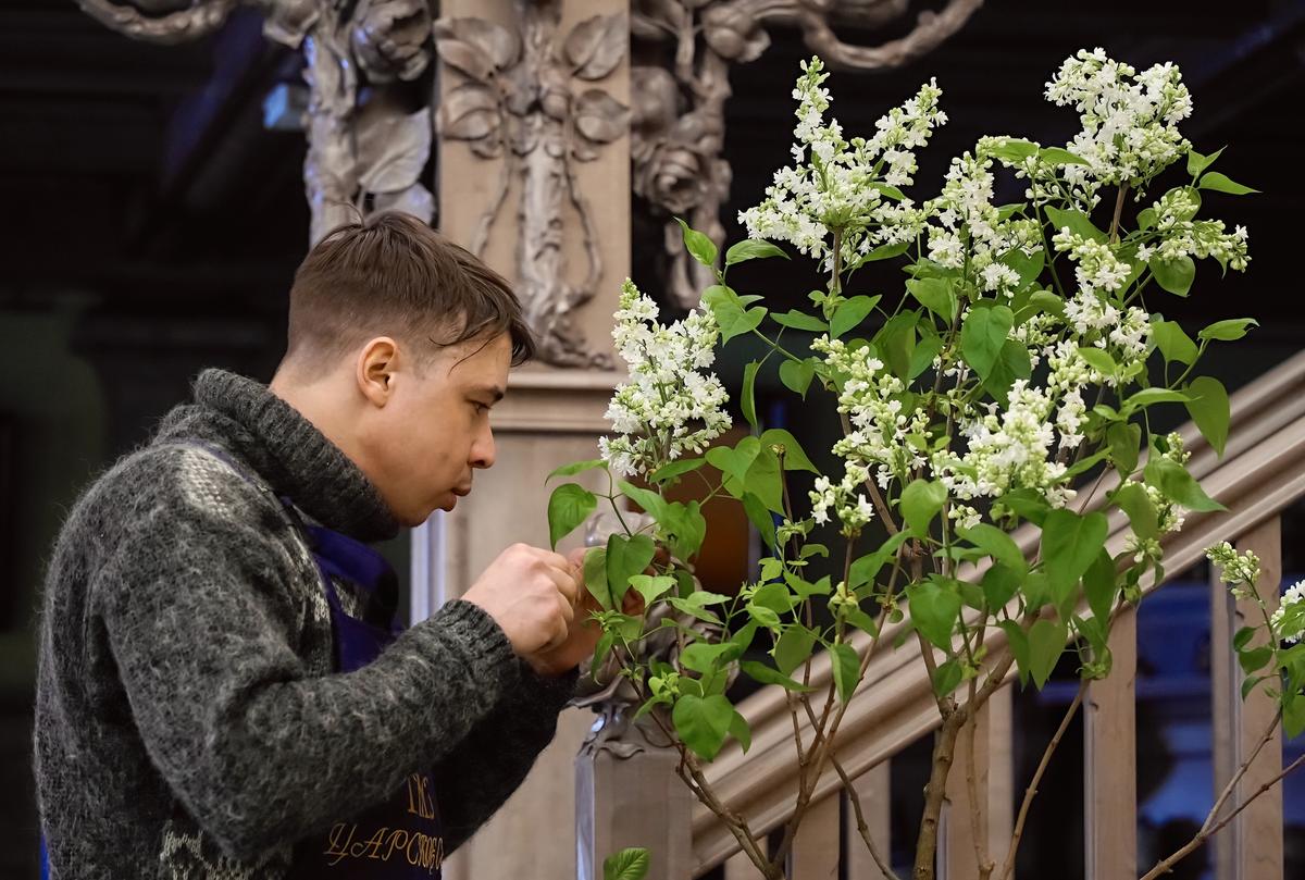 В парке «Сокольники» назвали дату начала сезона цветения сирени - Мослента