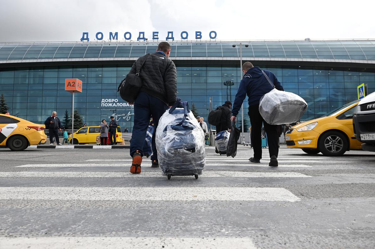 Граната взорвалась в чемодане пассажира в столичном аэропорту - Мослента