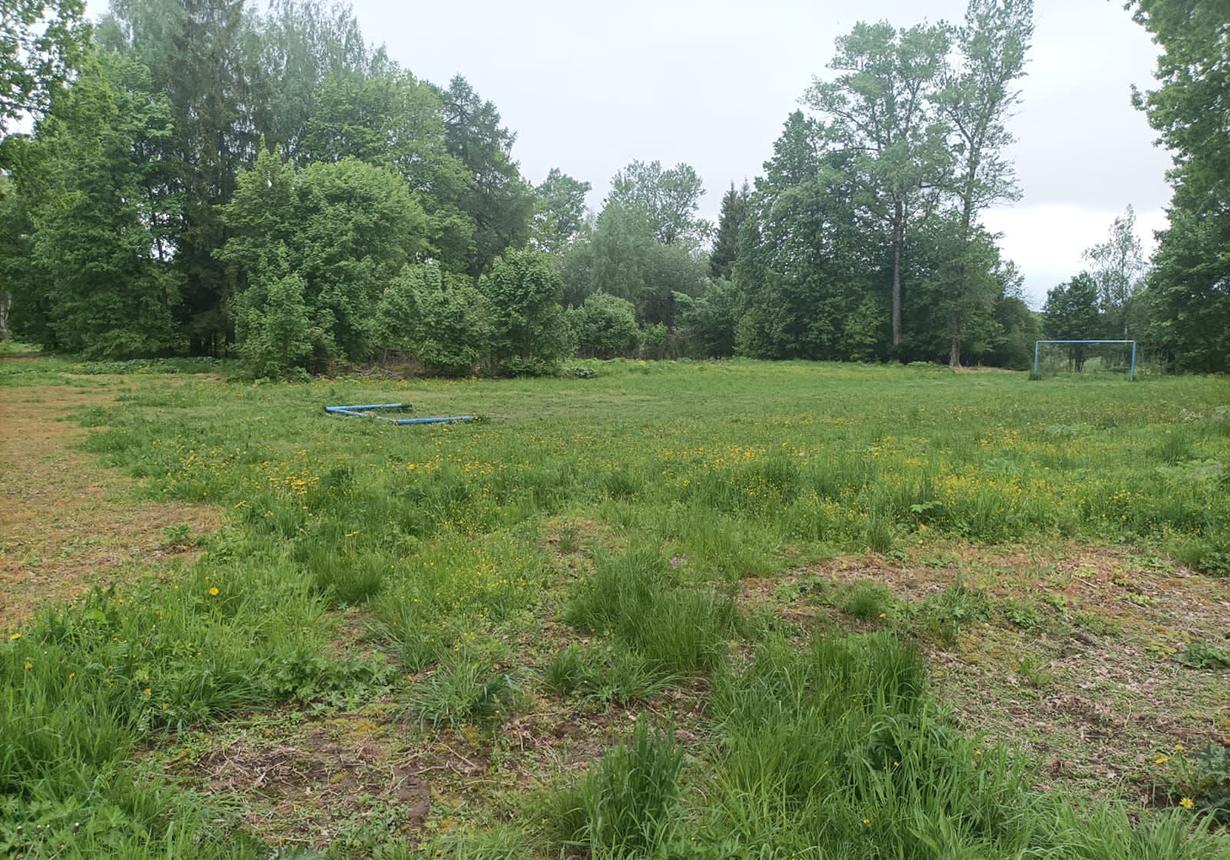 В Подмосковье ребенка насмерть задавило футбольными воротами