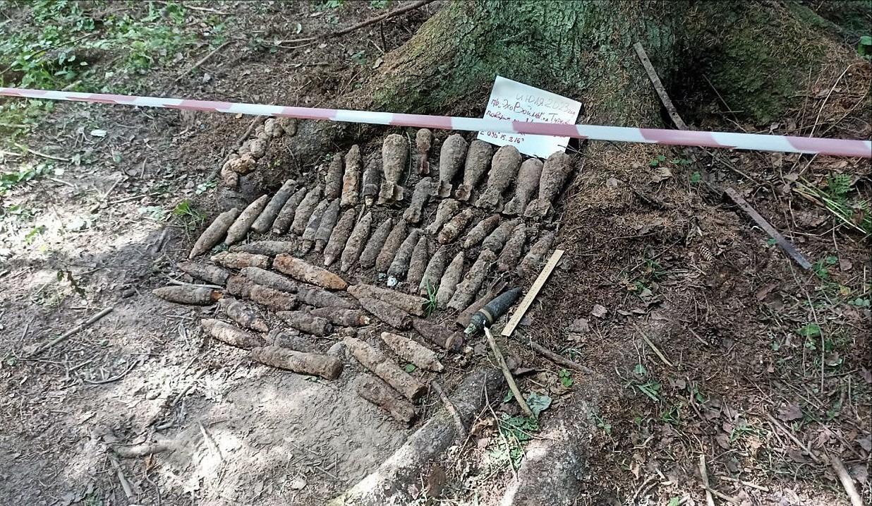 Более полусотни снарядов и мин времен войны нашли в подмосковной деревне