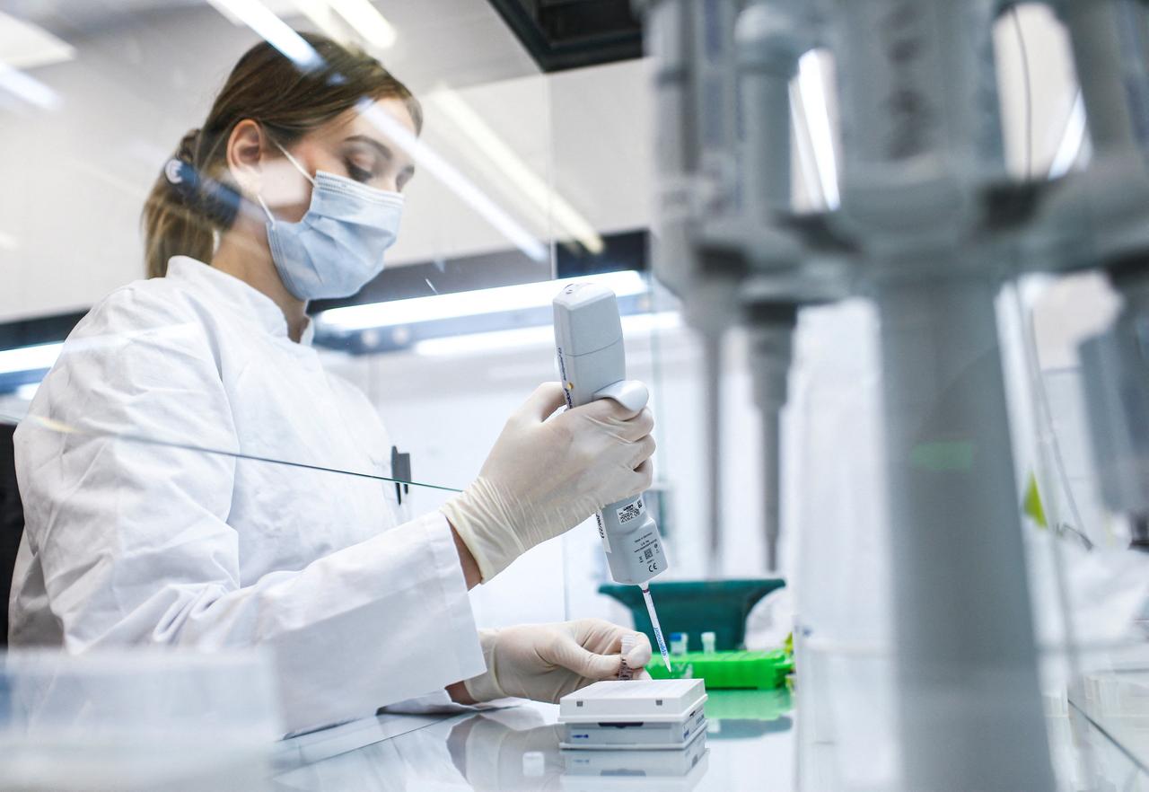 МГУ выпустит собственную вакцину от COVID-19 на основе вирусов растений