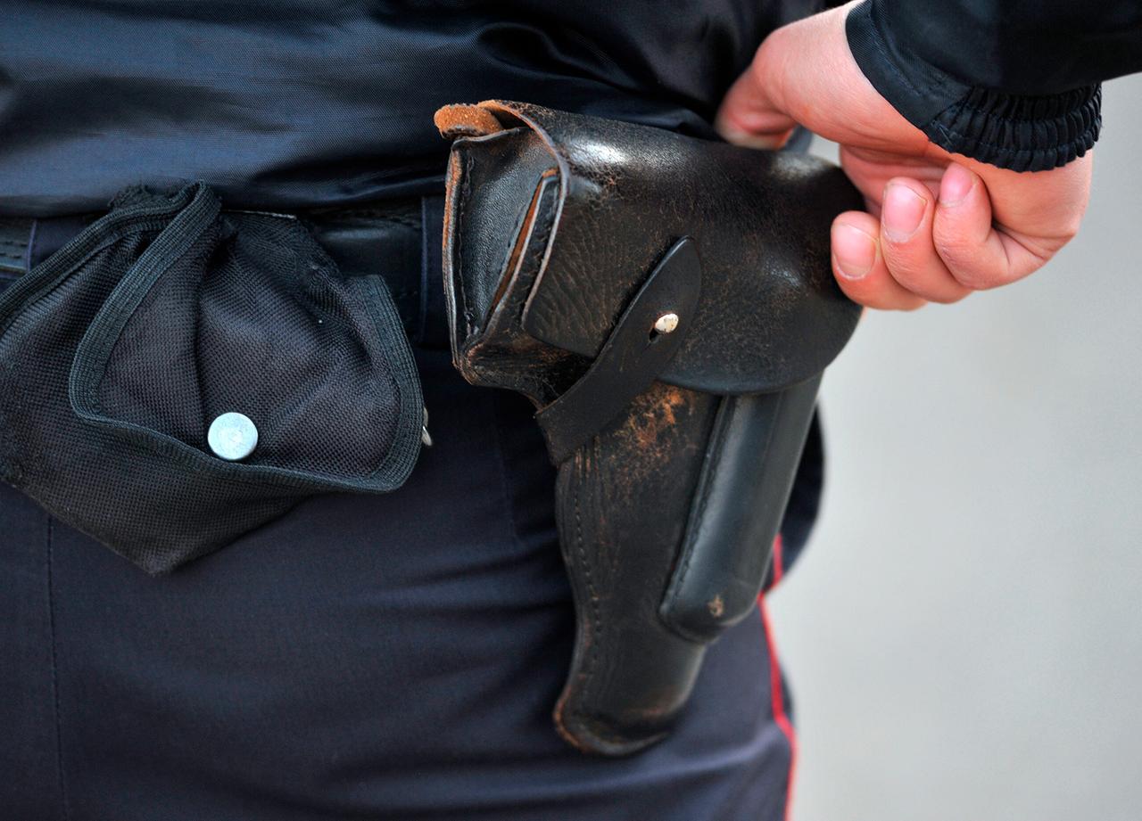 Полицейские выстрелили в загрызшего домашнюю собаку агрессивного пса в Москве