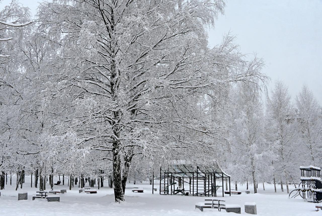 Врач рассказал о влиянии холода на иммунитет россиян