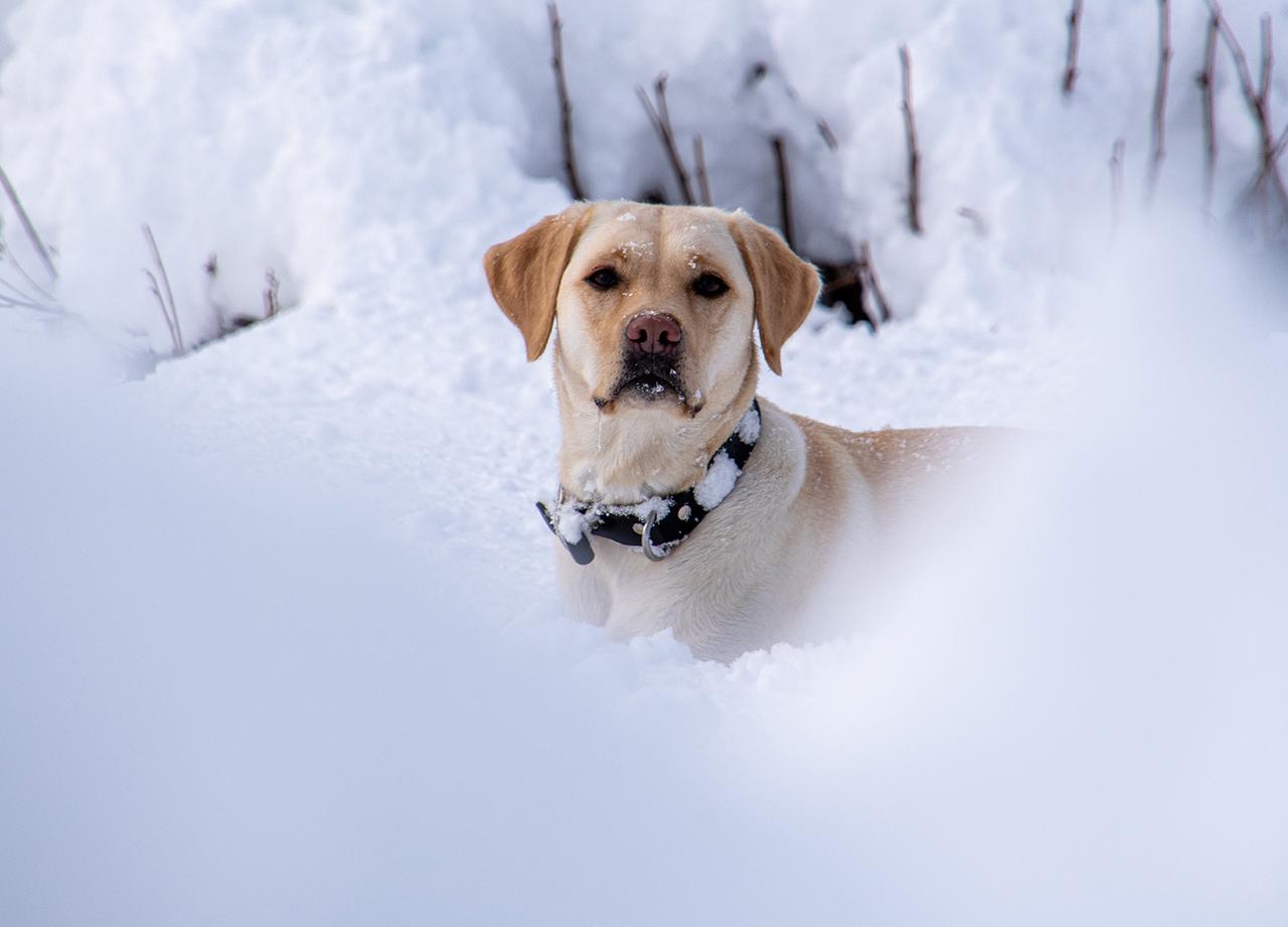 Россиянин поделился поучительной историей о моментальной карме
