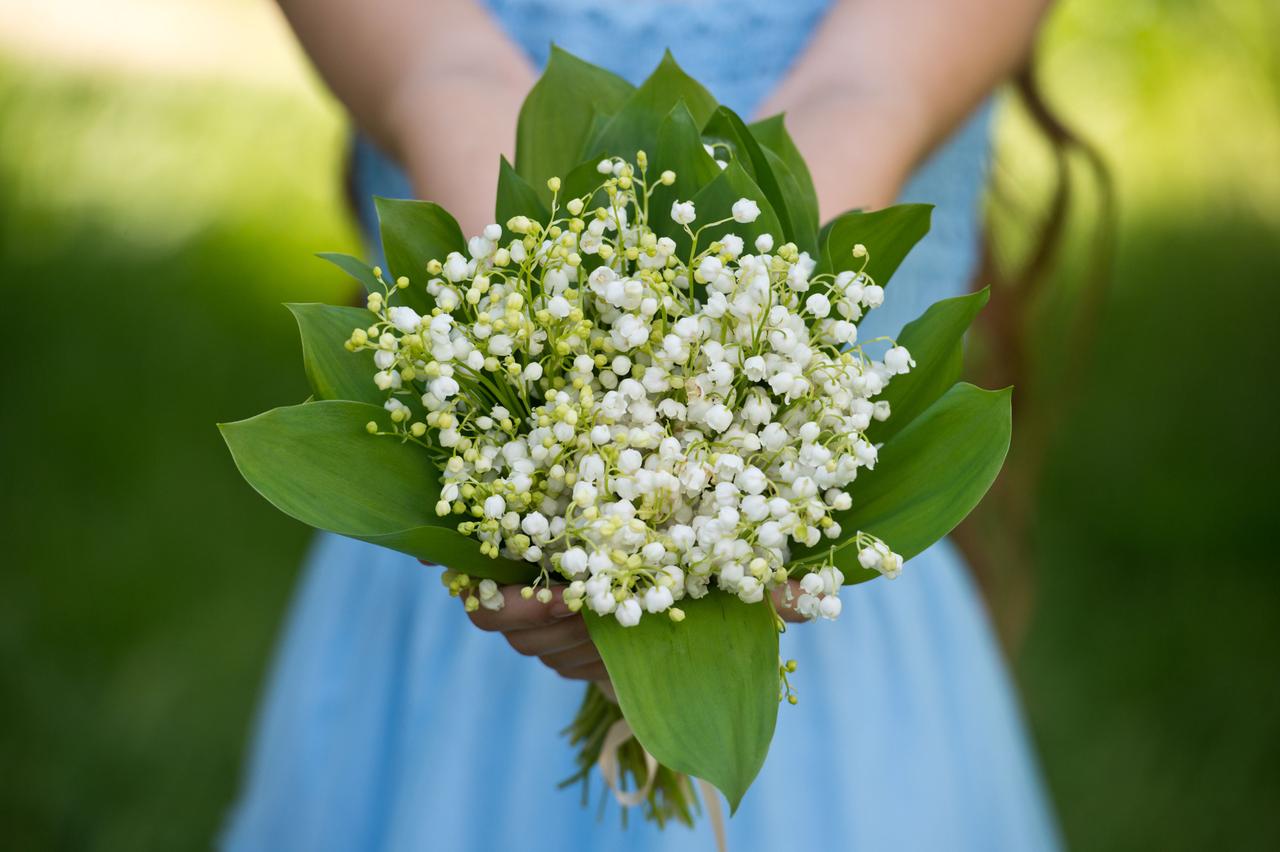 Названы вызывающие желание близости запахи