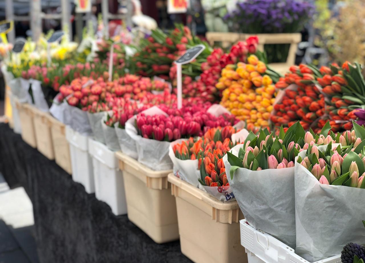 В цветочном магазине найдена идеальная пара москвичей