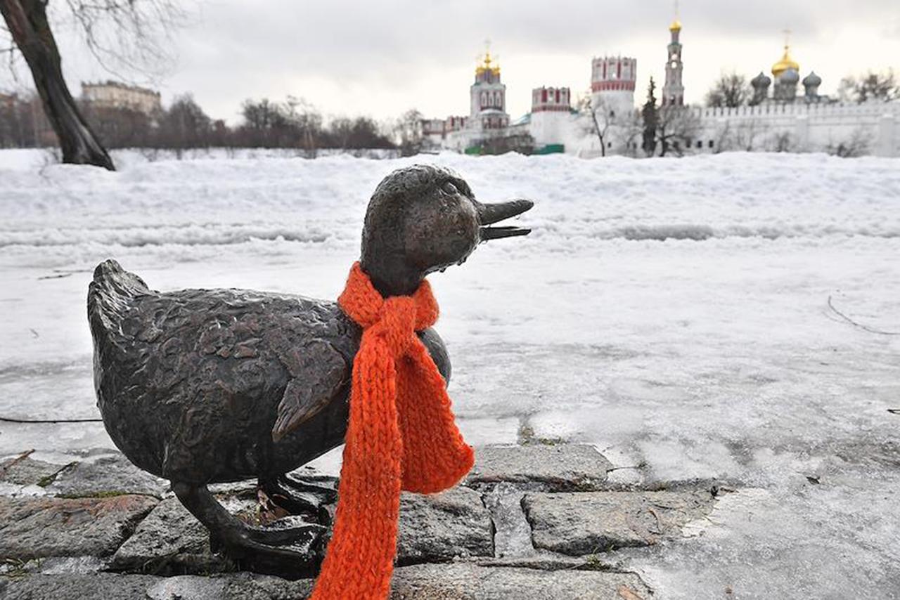 Известная актриса сравнила Москву и Санкт-Петербург