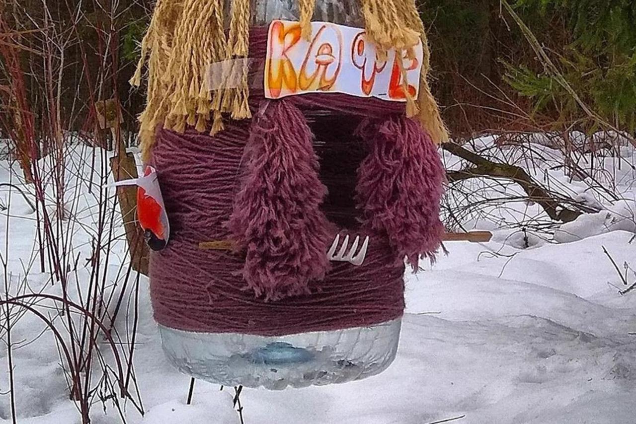 Жители Подмосковья поспорили из-за птичьих кормушек в лесу