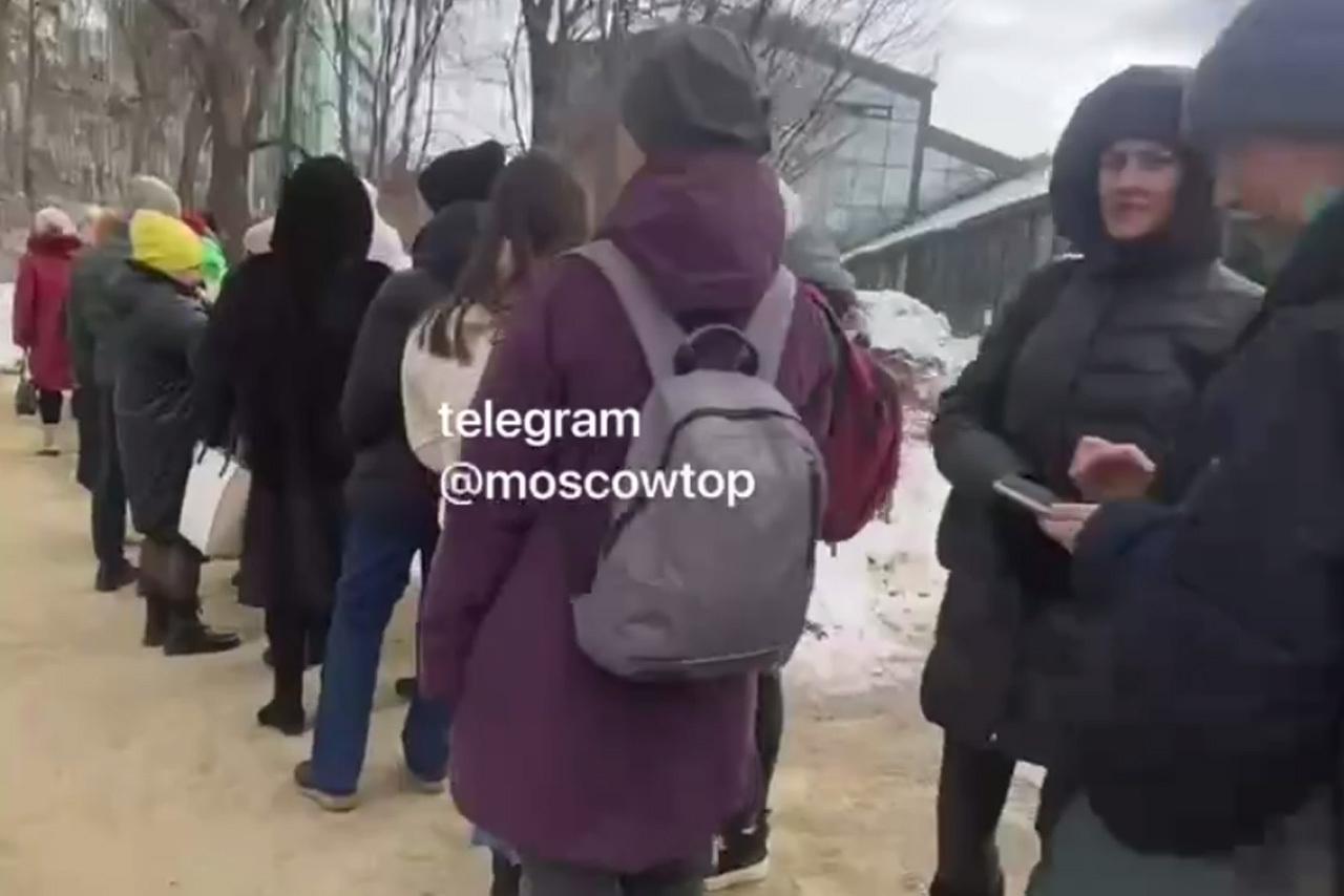 Очевидцы сняли на видео километровые очереди в Аптекарский огород в Москве