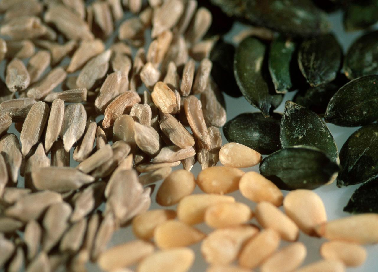 Диетологи предупредили об опасности семечек