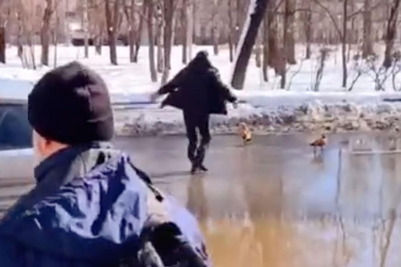 Автомобиль перекрыл движение в Москве из-за уток и попал на видео