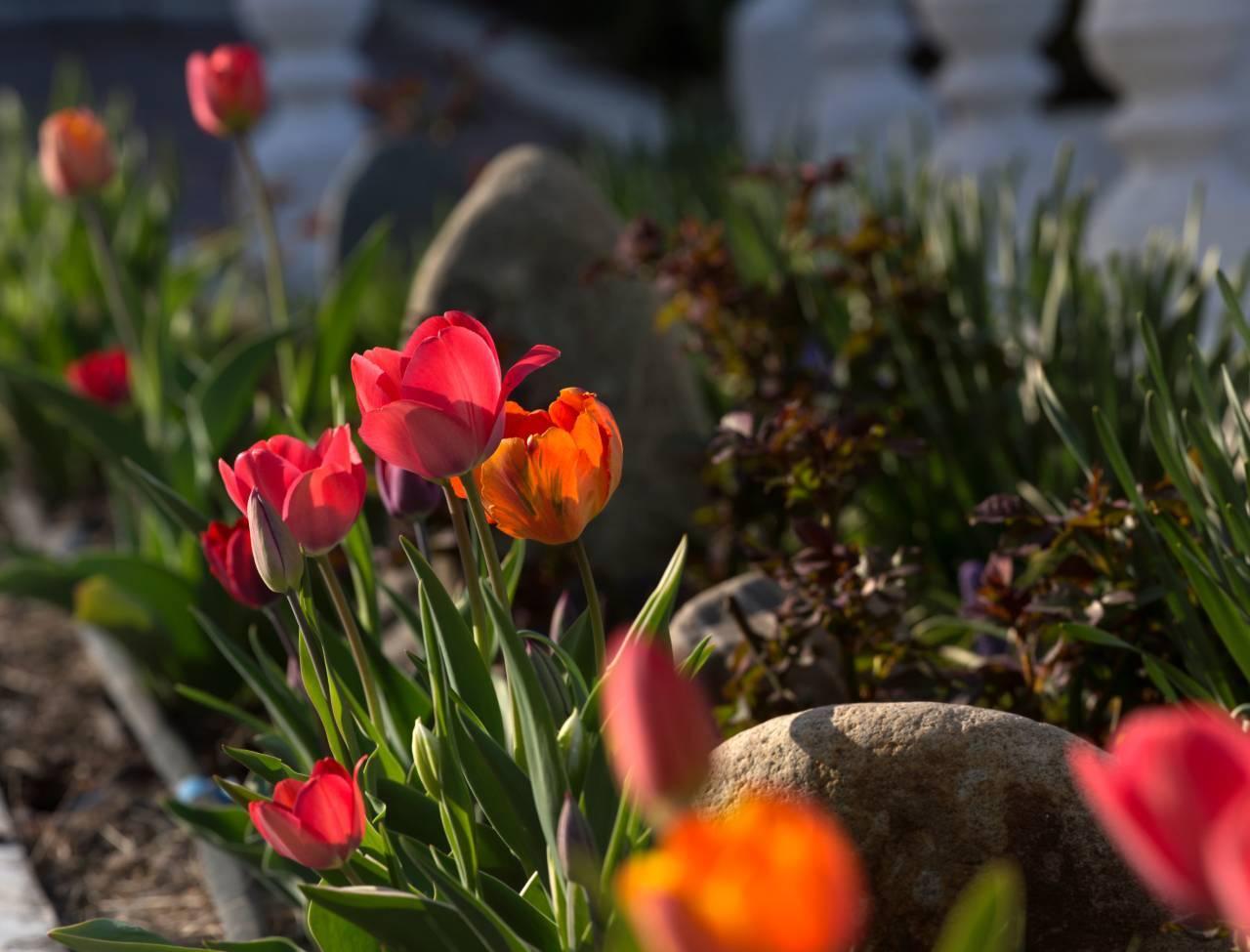 Синоптик пообещал потепление жителям Москвы