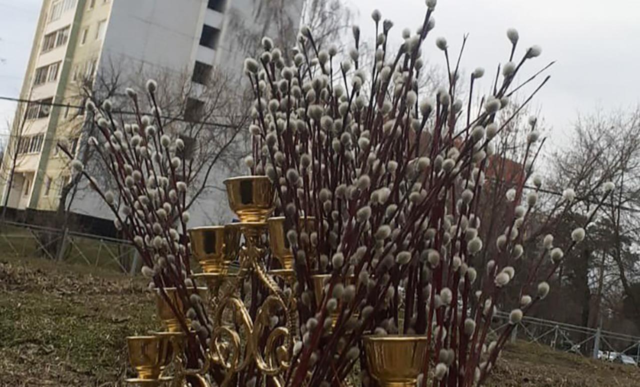 Москвичей возмутил стихийный мемориал в столичном парке