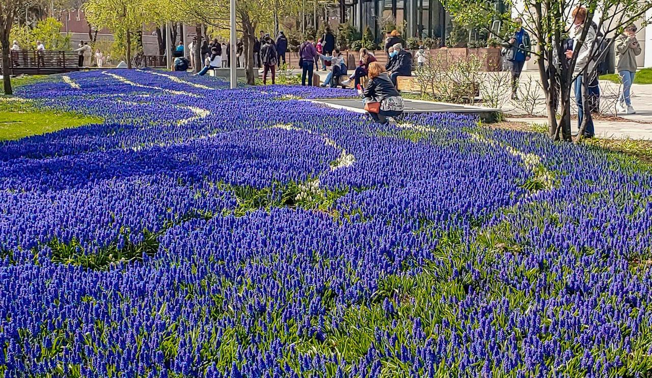Названа дата возвращения тепла в Москву