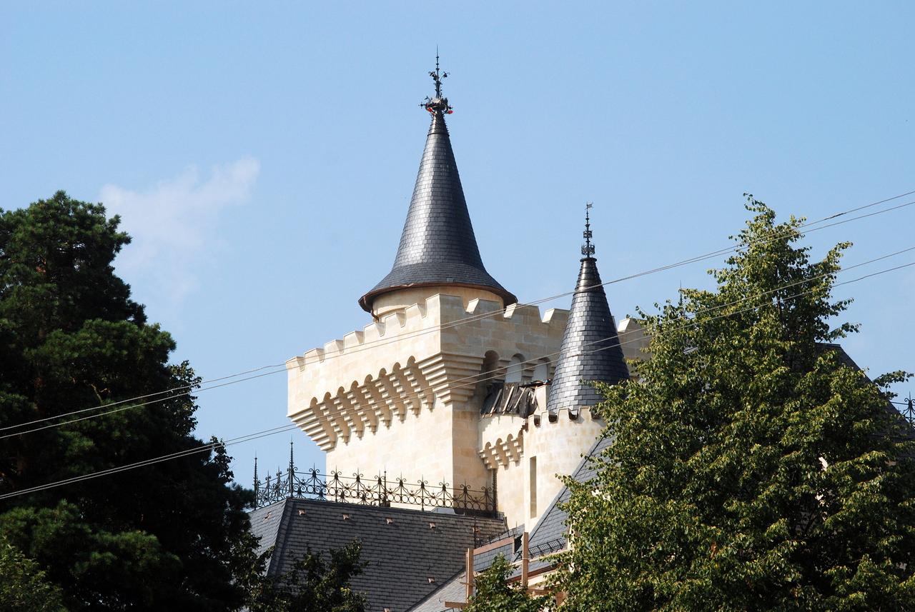 Блогер Лена Миро заявила о невозможности продажи замка Галкина и Пугачевой