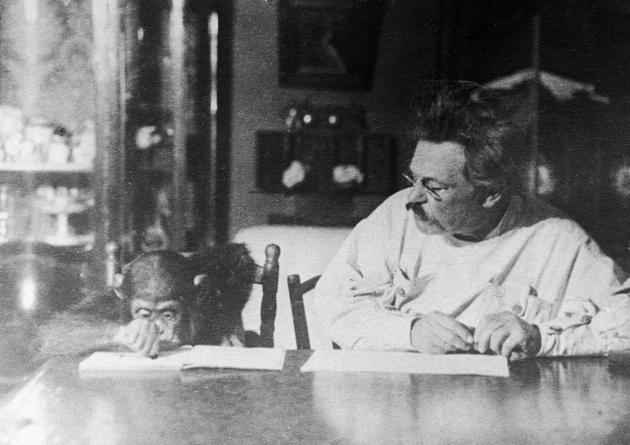 Стало известно о соседстве жителей дома Толстого с медведем и волками