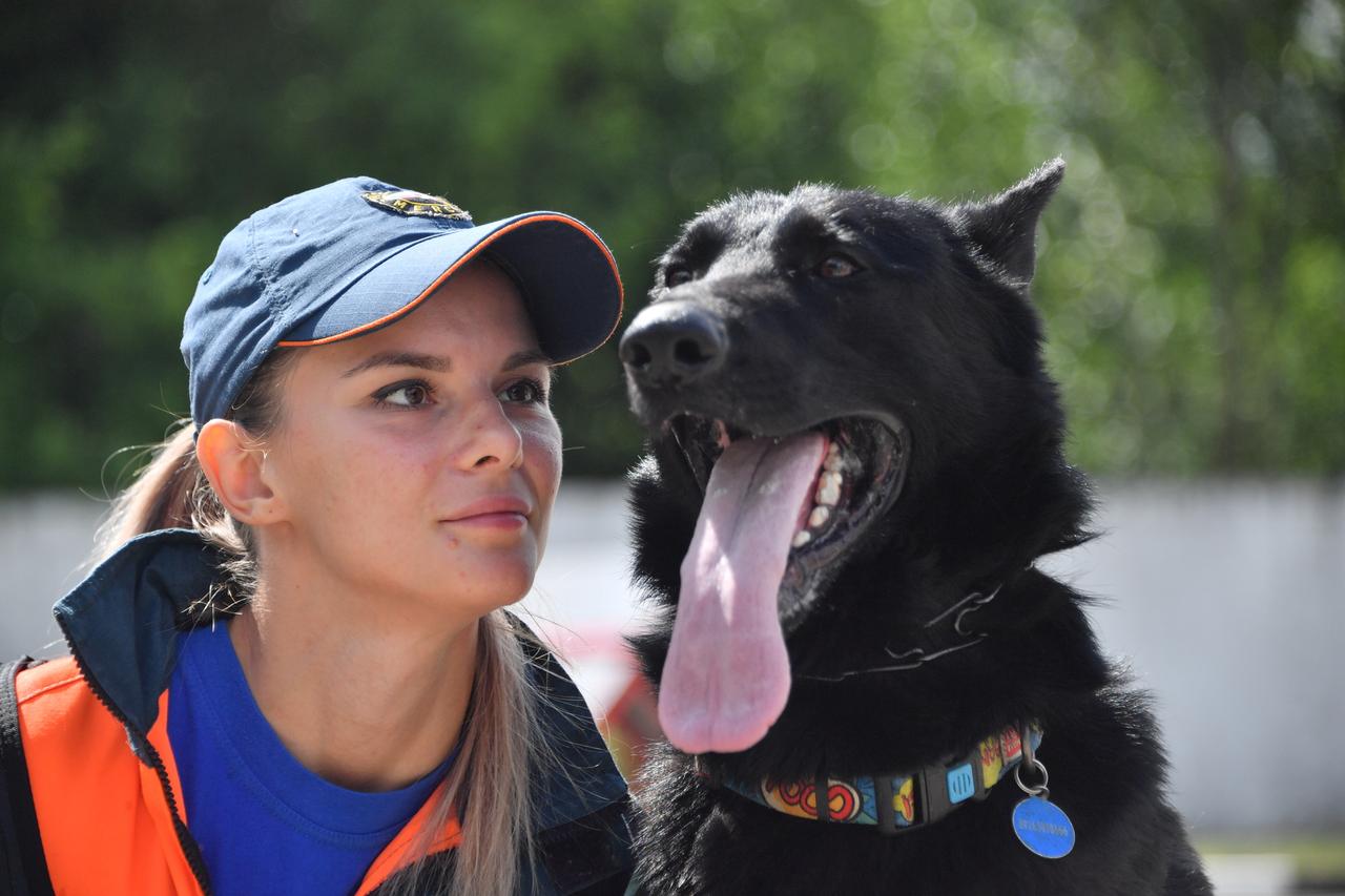 Кинолог дал рекомендации хозяевам гиперактивных собак