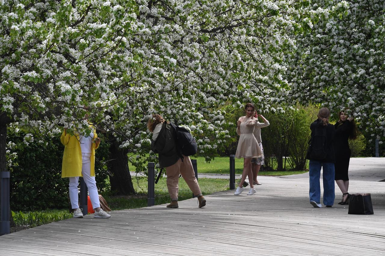 Мужчина домогался москвички в столичном парке