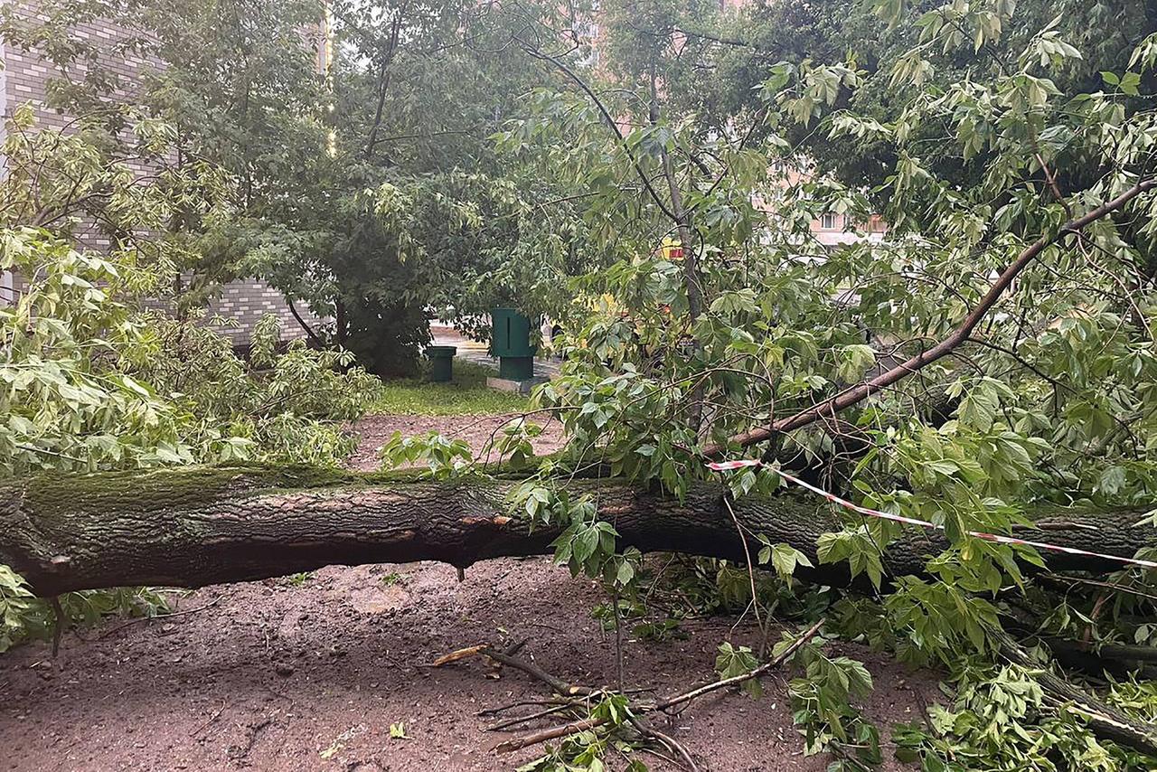 Стали известны последствия непогоды в Москве