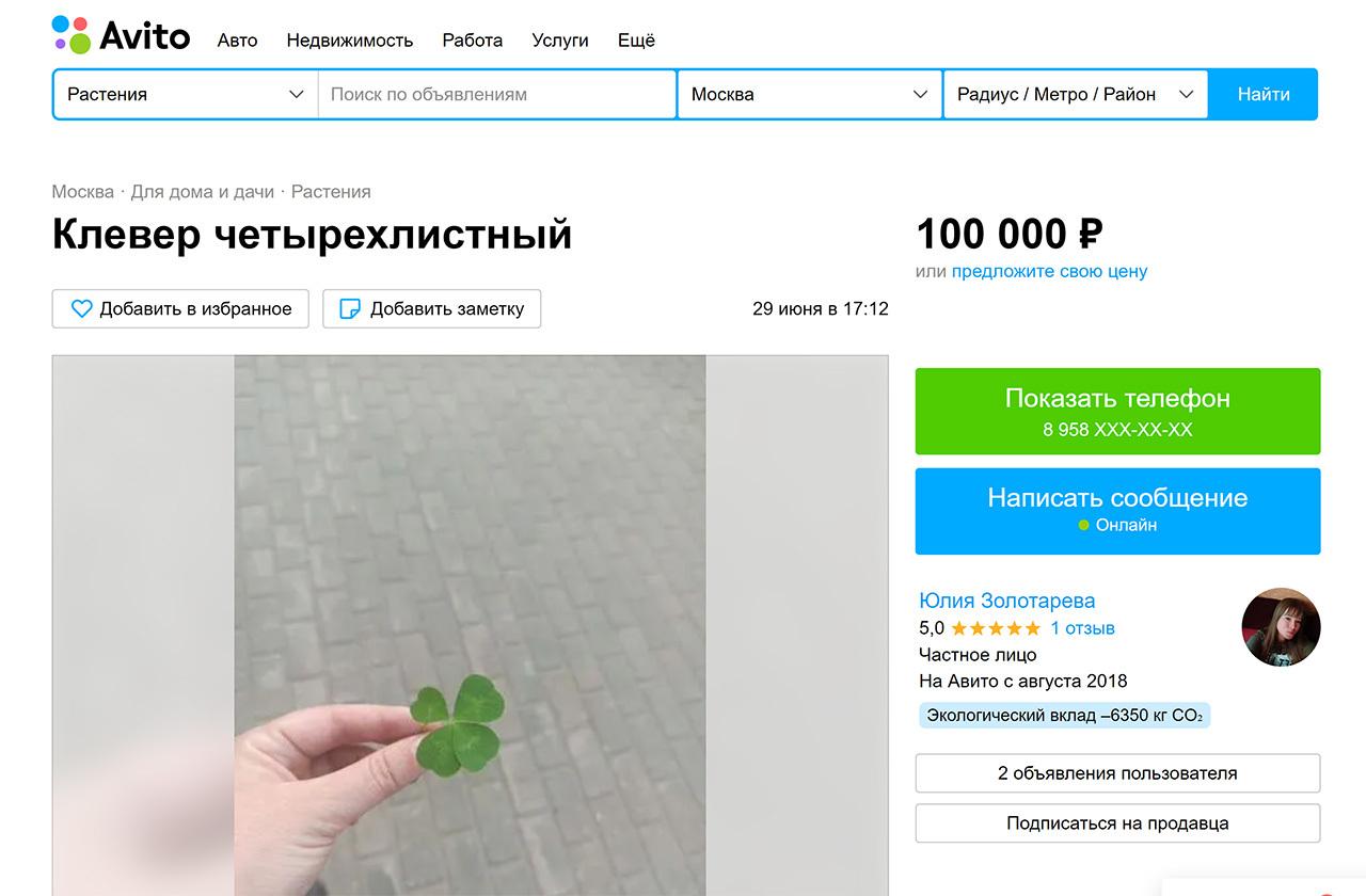 Москвичка выставила на продажу четырехлистный клевер за 100 тысяч рублей