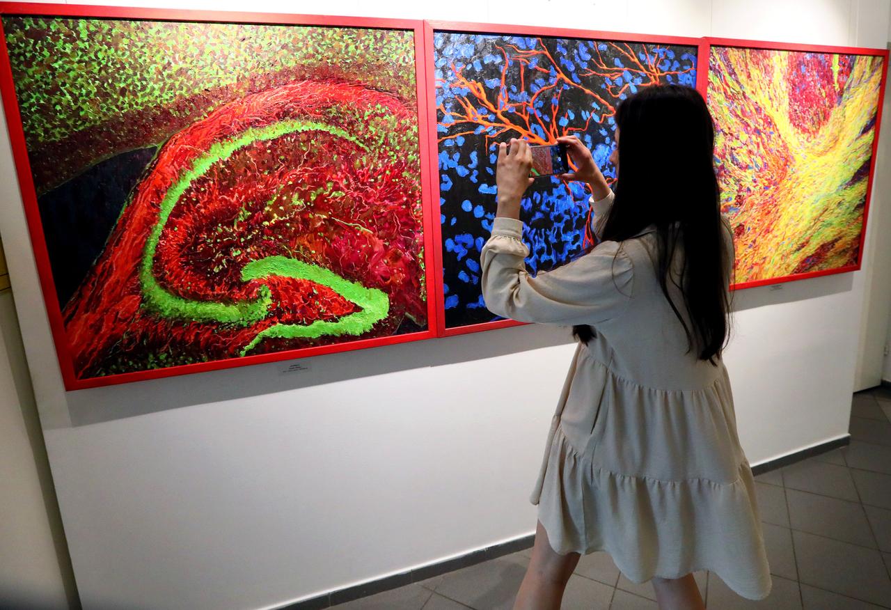 Известный культуролог заявил о непопулярности инвестиций в искусство