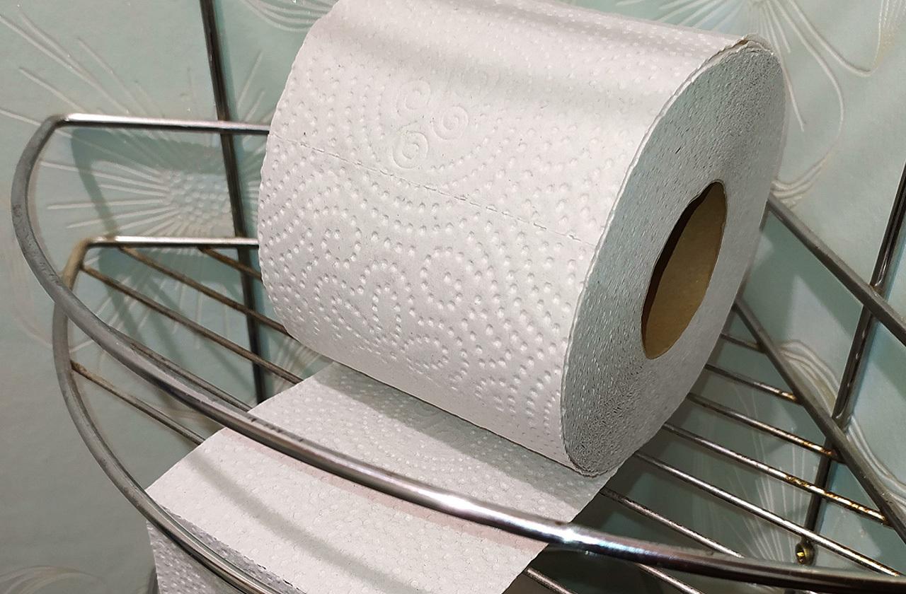 Школьница из Москвы съела два рулона туалетной бумаги