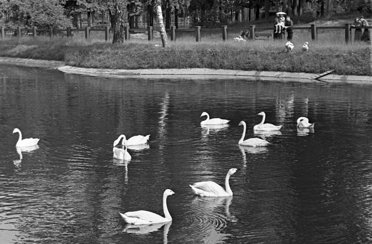 Москвичи вспомнили популярный городской пляж