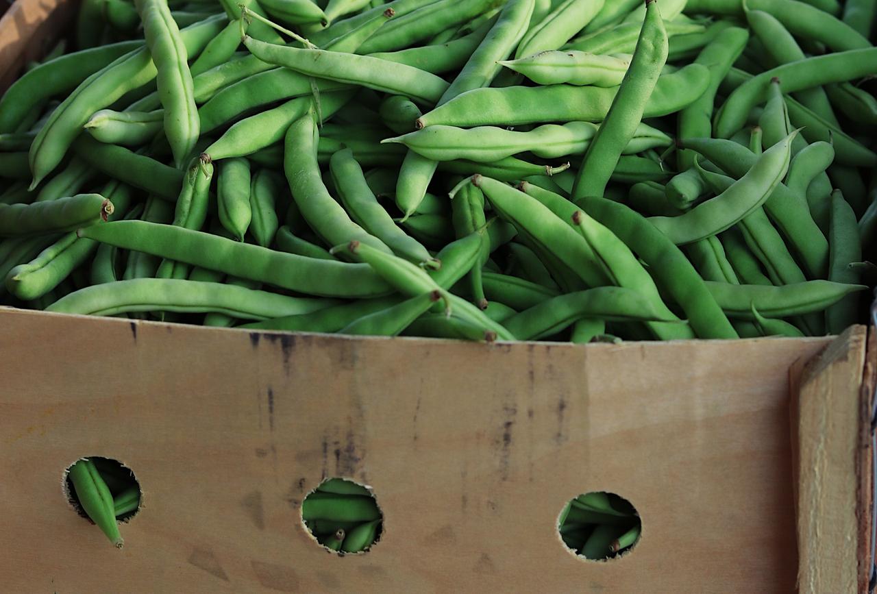 Названы продукты для поддержания уровня кальция в организме