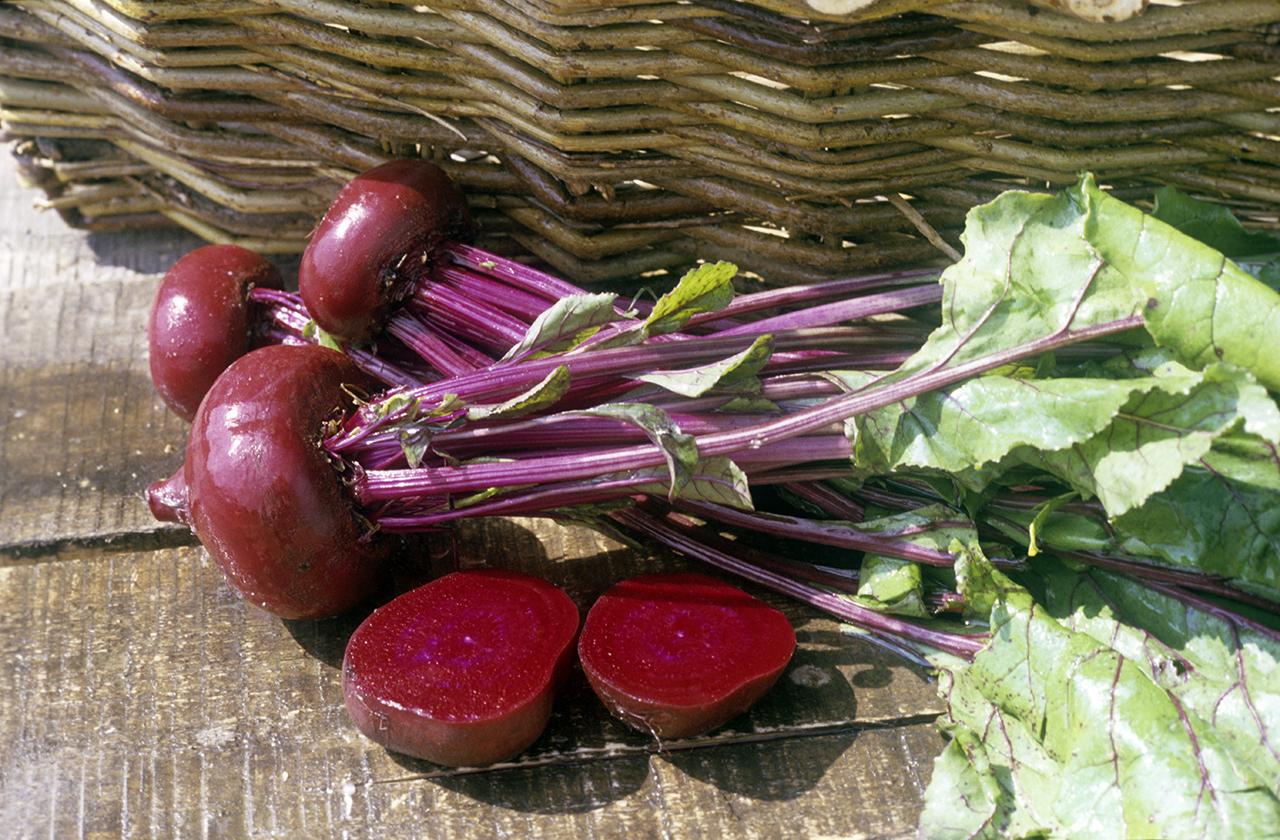 Терапевт раскрыла полезное для эрекции свойство свеклы 