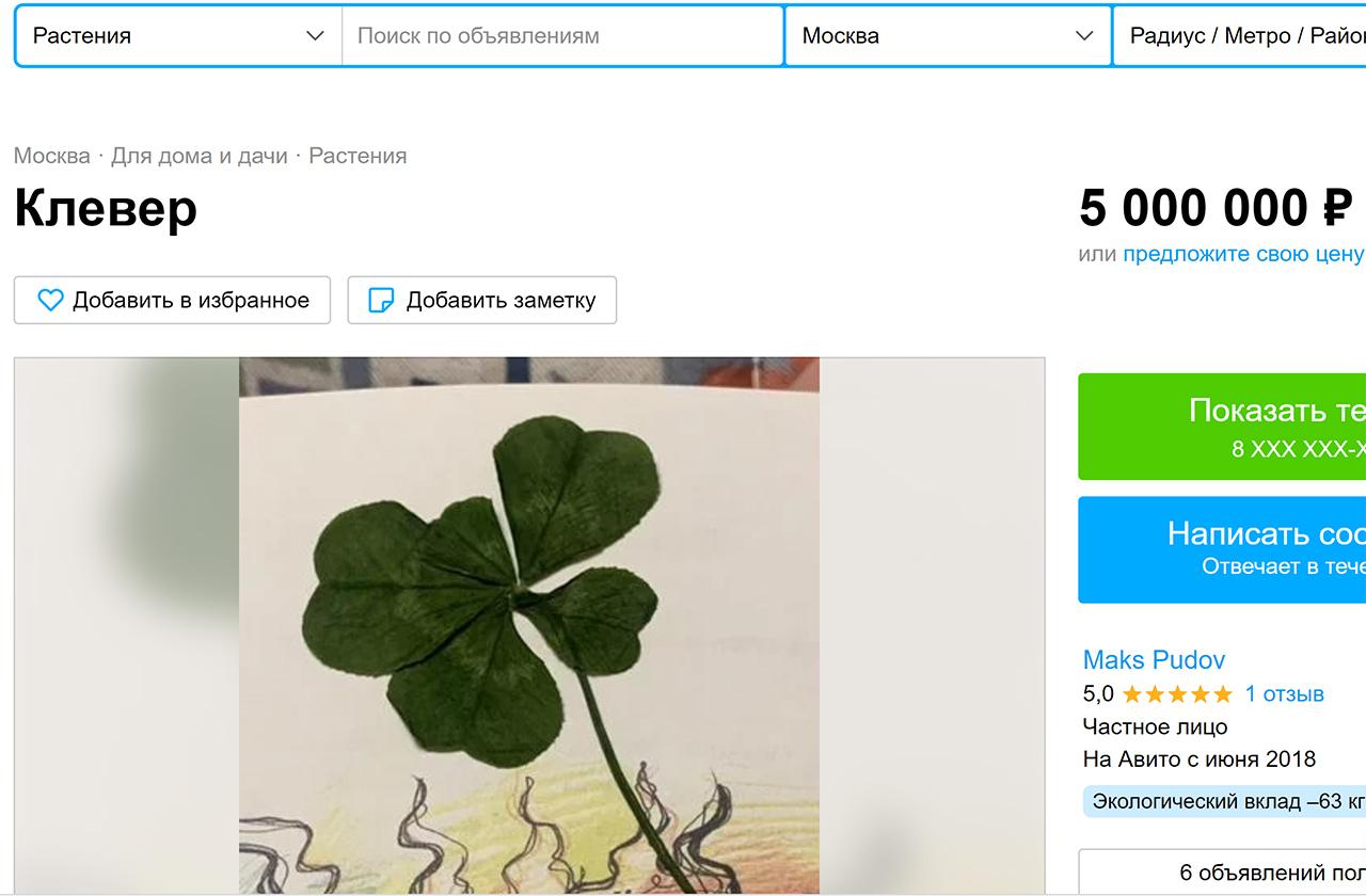 Москвич выставил на продажу «счастливый» клевер за миллионы рублей