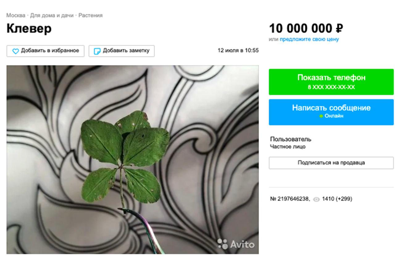 Москвич оценил пятилистный клевер в десять миллионов рублей