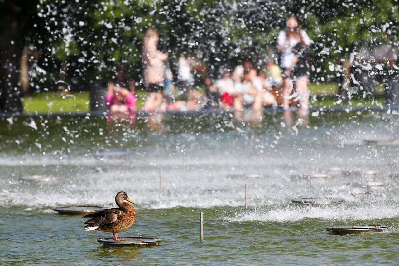 Москвичей предупредили о возвращении жары