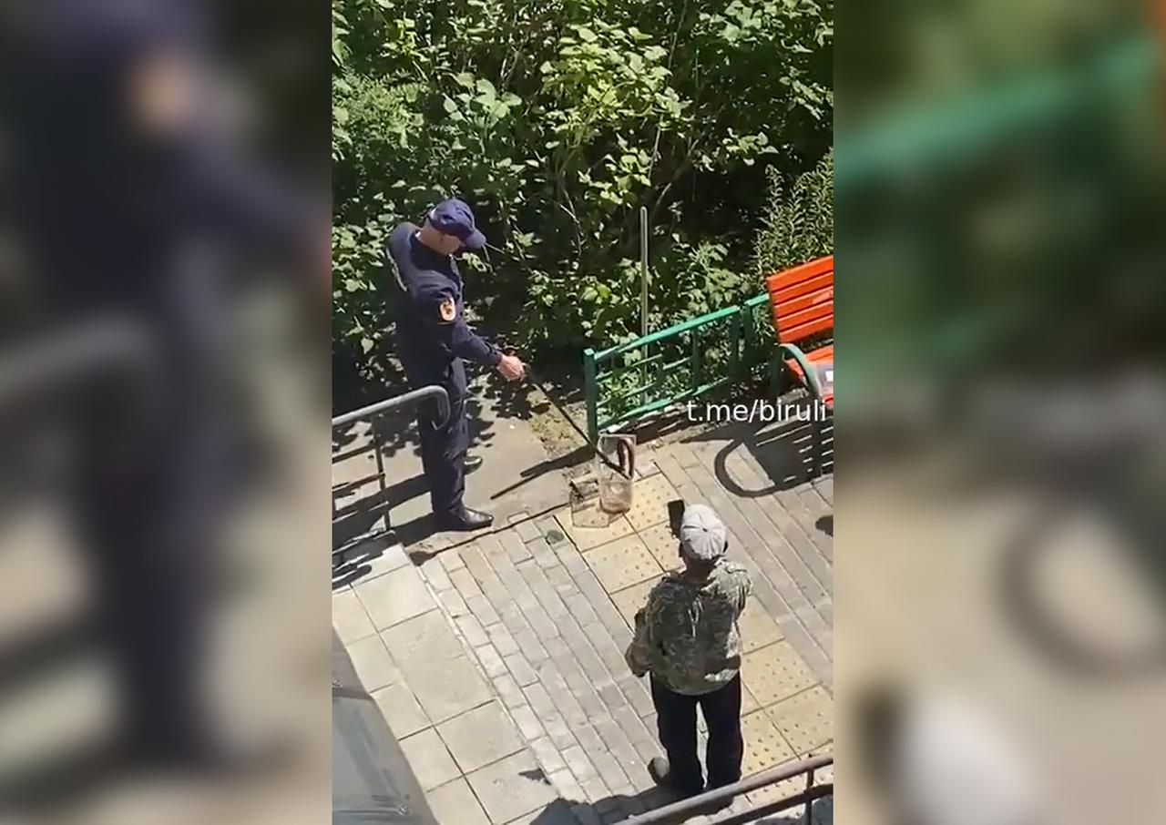 Найденная у жилого дома в Москве змея попала на видео