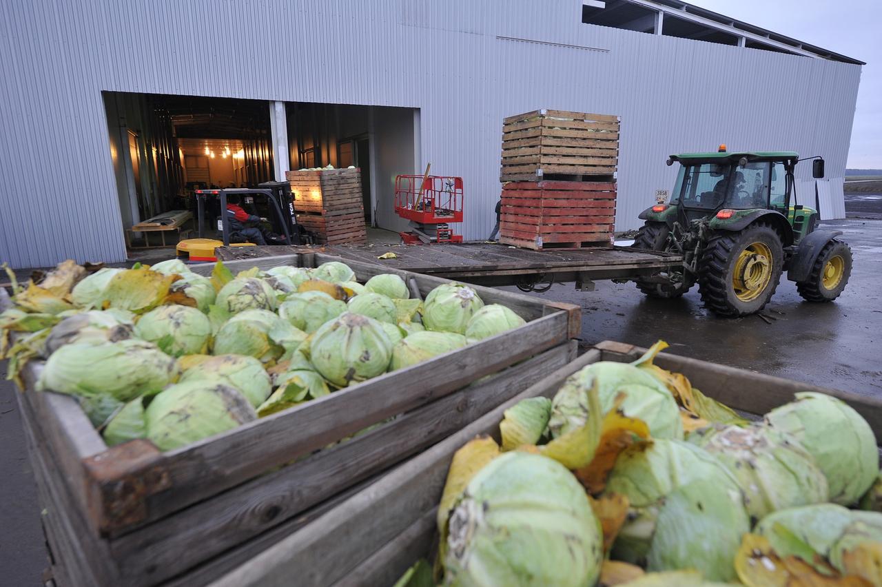 Москвич с сообщниками выманил у бизнесмена более 12 миллионов рублей