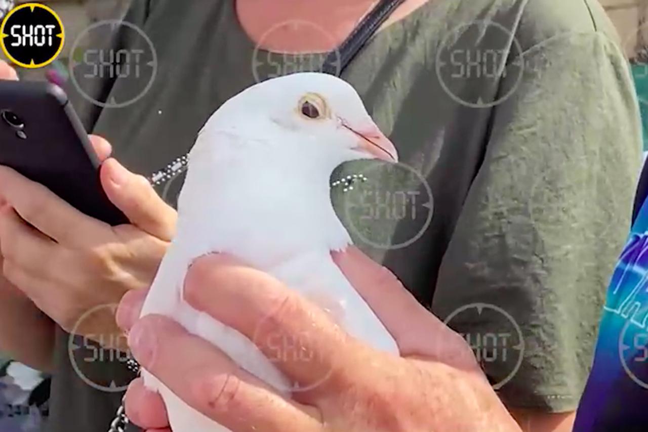 Поклонники Юрия Шатунова выпустили в небо белых голубей