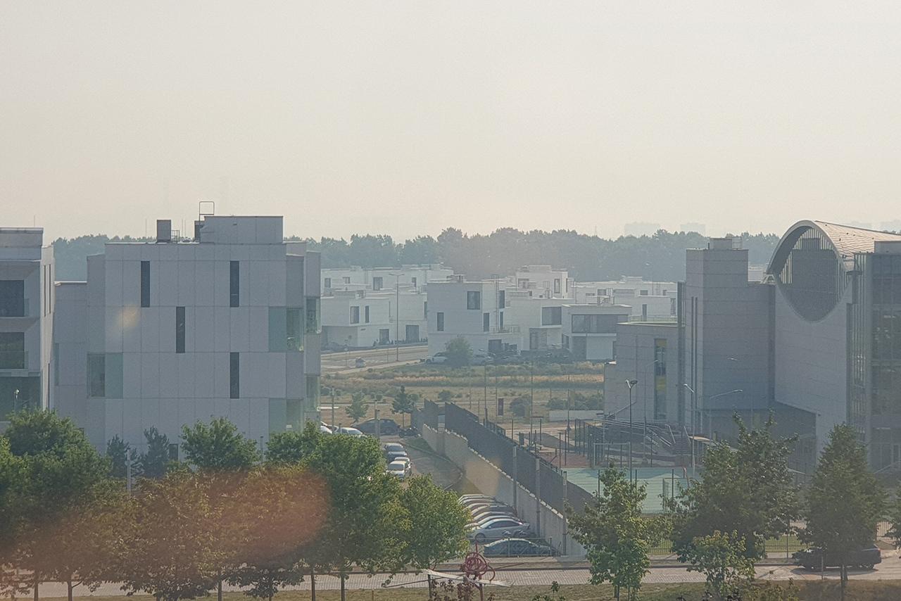 Терапевт объяснила основные опасности смога 