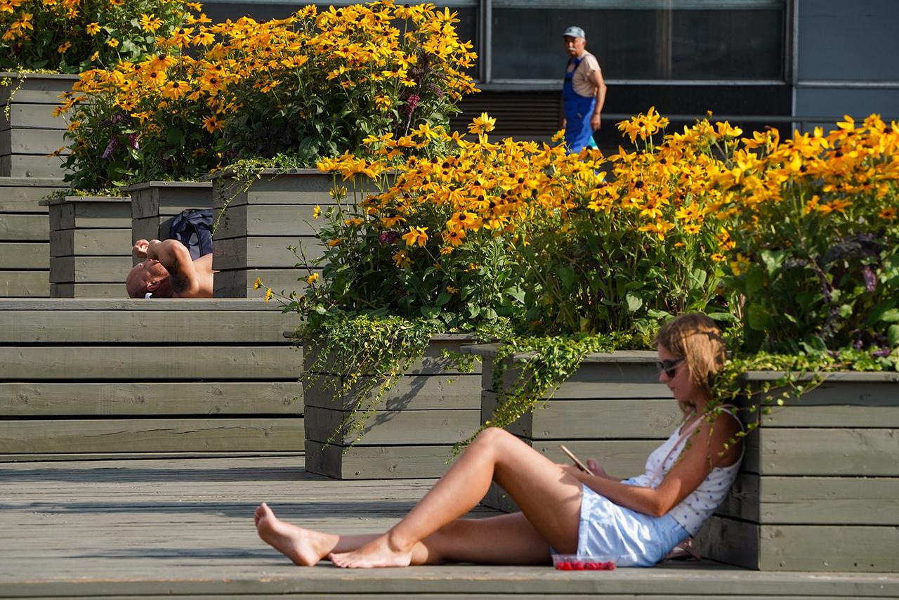 Москвичам спрогнозировали жару в последнюю неделю лета