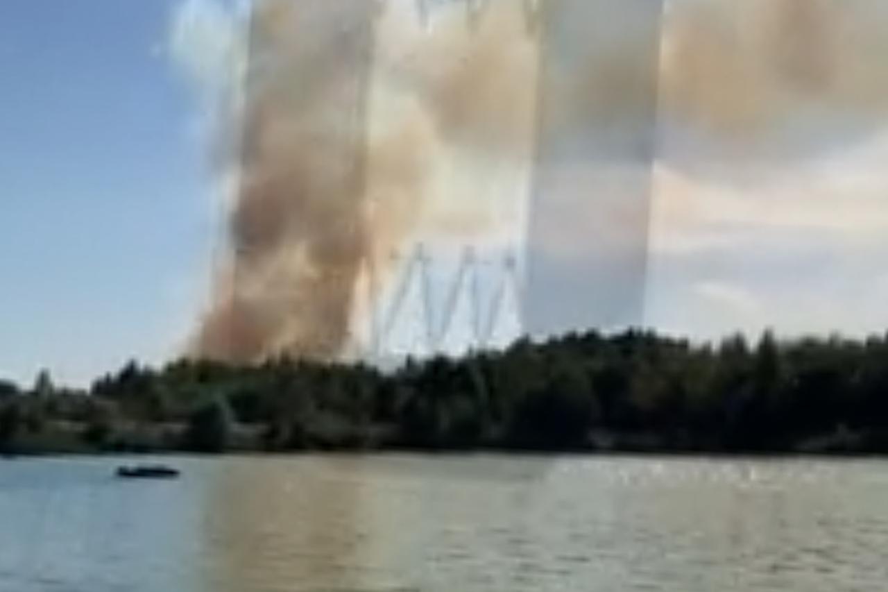 Очевидцы сняли на видео пожар в подмосковном лесу