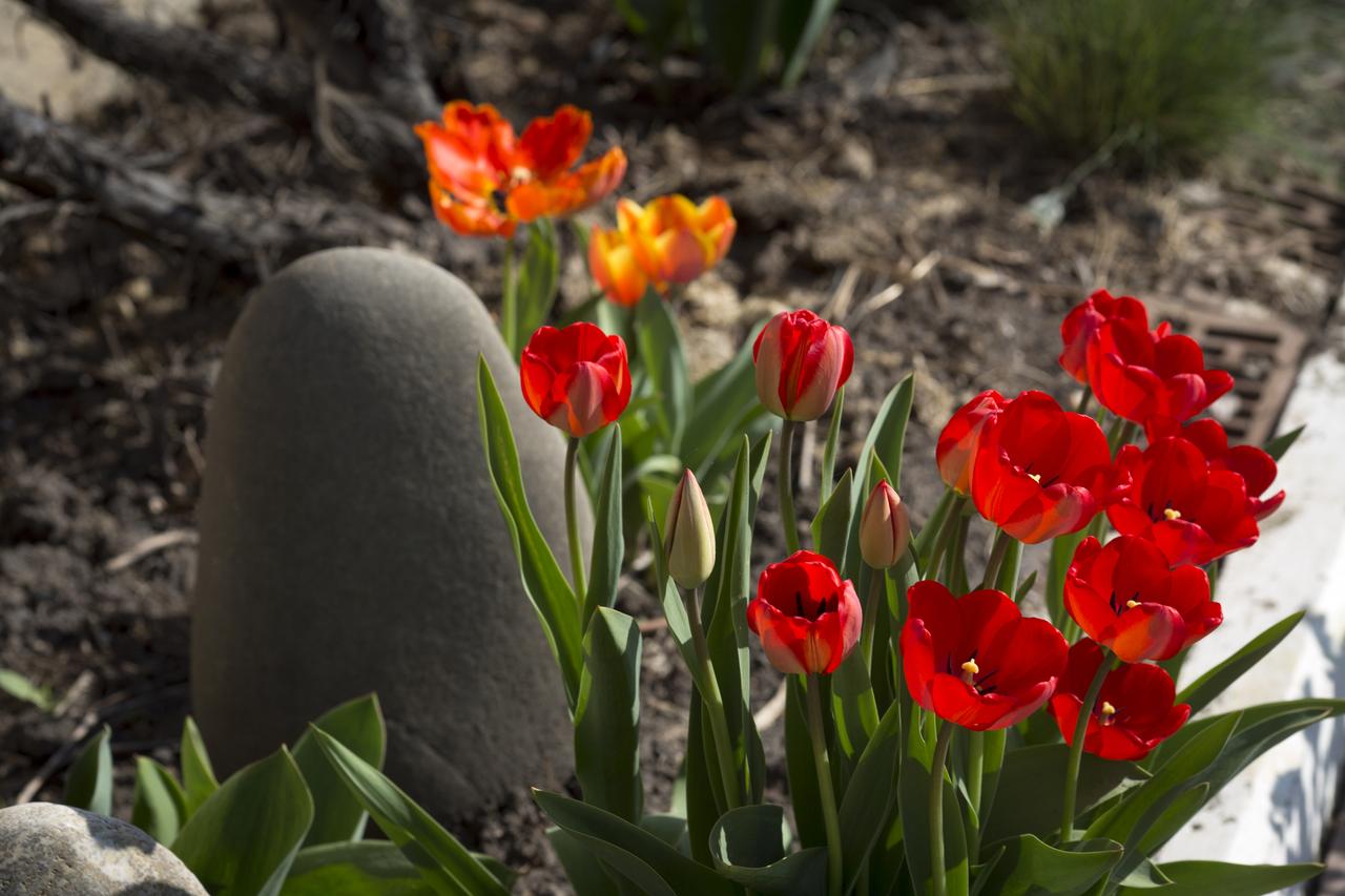 Москвичка пожаловалась на похищение ее камней работником храма